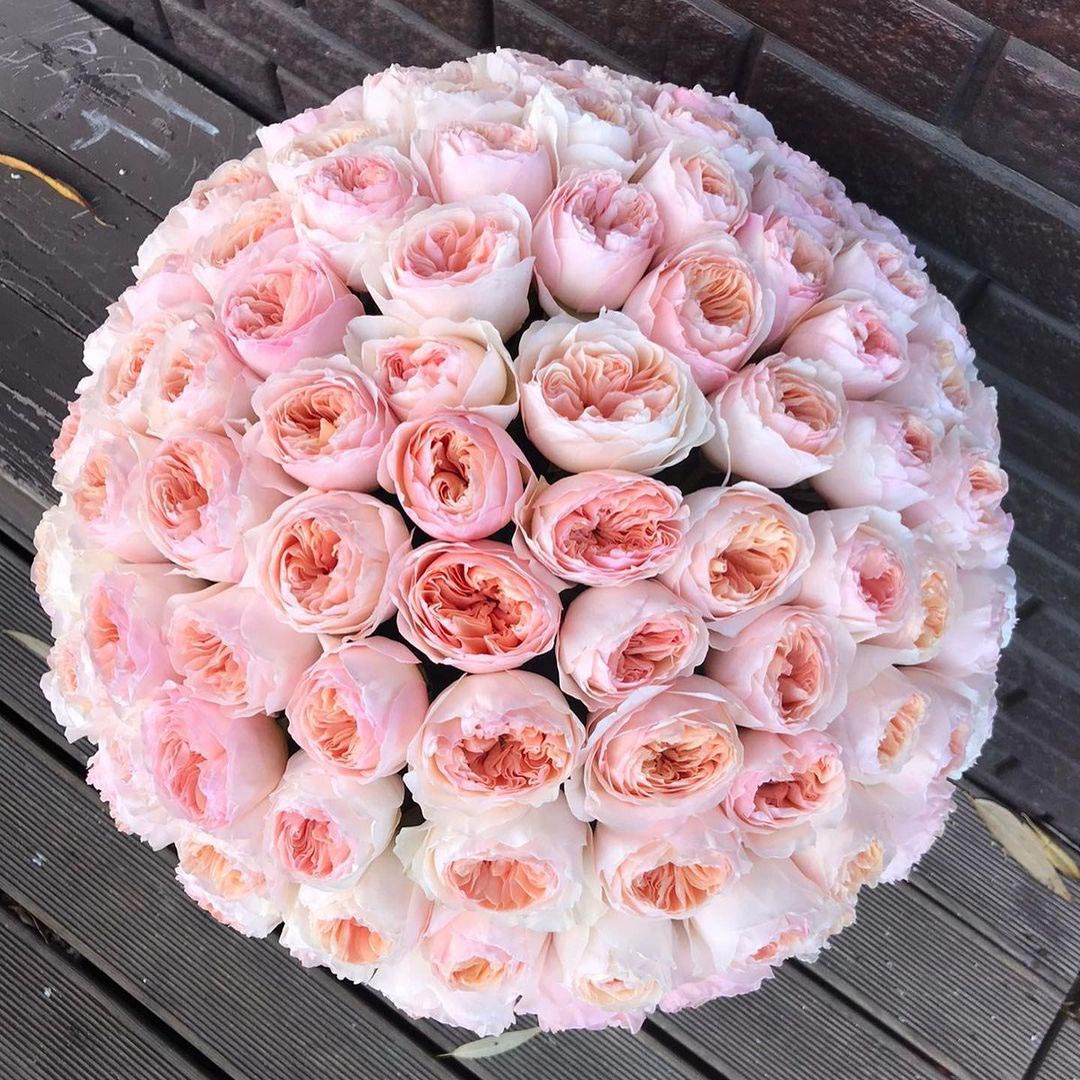Flower Boxes Delivery Monaco & Riviera - Maison Lilea